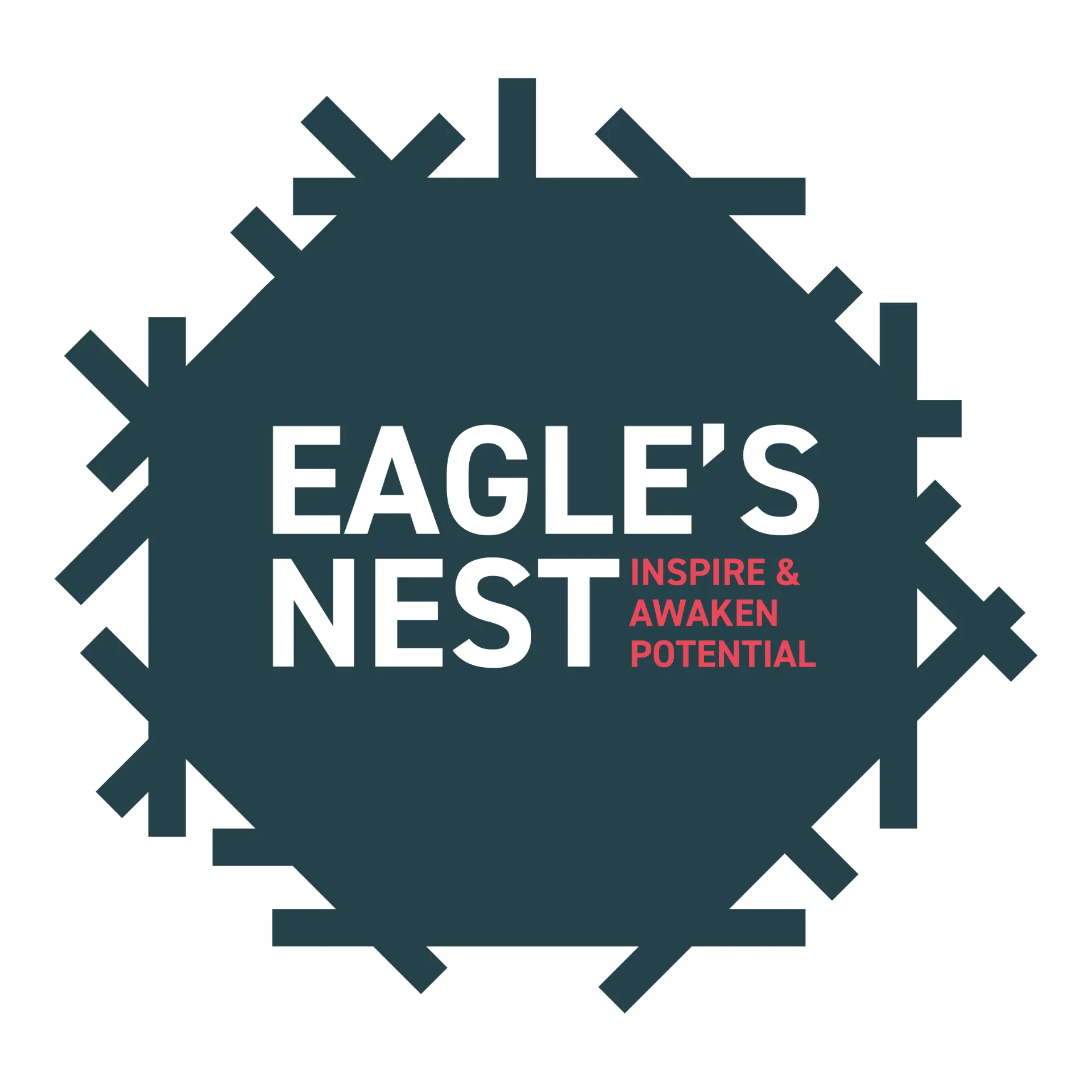 Eagle's Nest Project